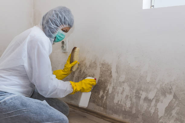 Crawl Space Mold Removal in Sandia Heights, NM